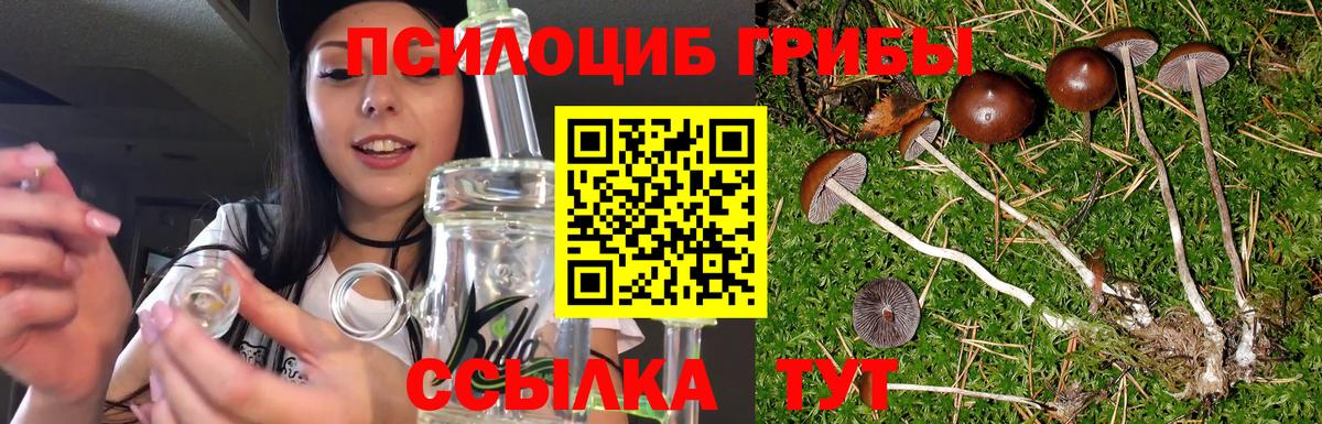 Псилоцибиновые грибы ЛСД Северск