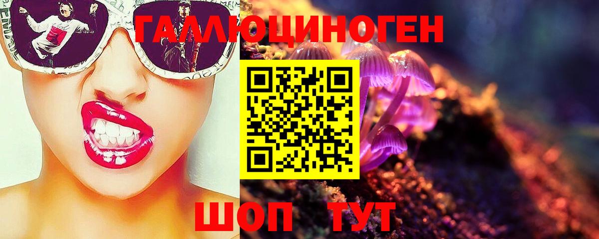 Галлюциногенные грибы Magic Shrooms  Псилоцибиновые грибы Psilocybine cubensis  Северск  Вход с VPN 